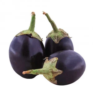 Aubergine - بینگن