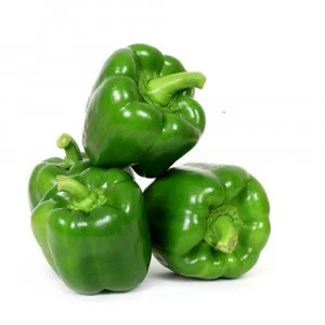 Capsicum