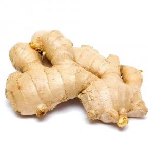 Ginger - ادرک