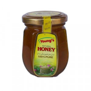 Youngs Honey Natural Glass Jar 500 gm